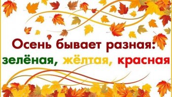«Волшебные дары осени!»