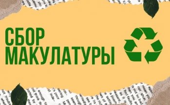 Макулатуру собираем и деревья сберегаем!